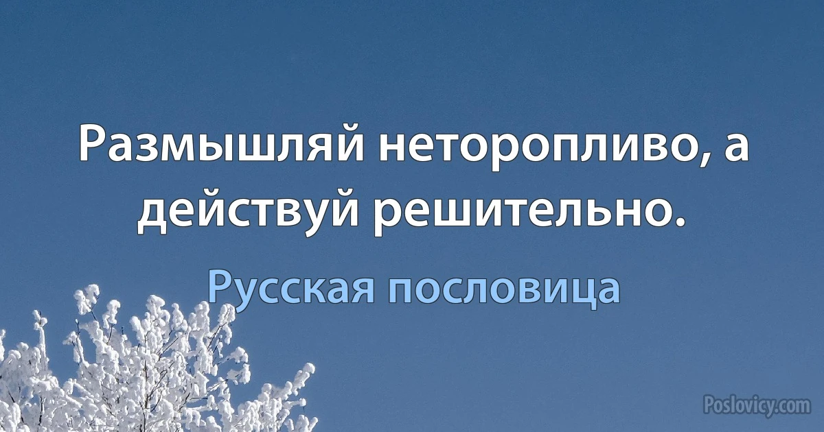 Размышляй неторопливо, а действуй решительно. (Русская пословица)