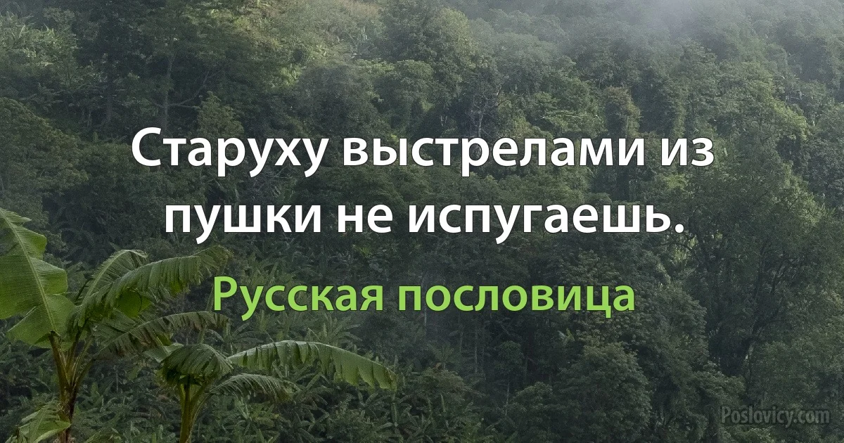 Старуху выстрелами из пушки не испугаешь. (Русская пословица)