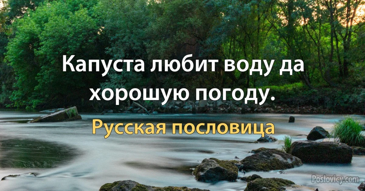 Капуста любит воду да хорошую погоду. (Русская пословица)