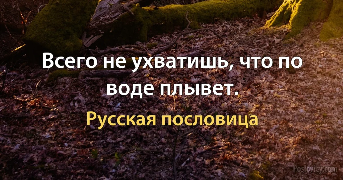 Всего не ухватишь, что по воде плывет. (Русская пословица)