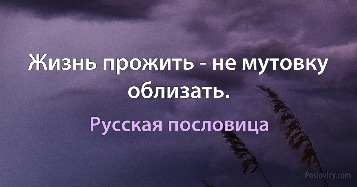 Жизнь прожить - не мутовку облизать. (Русская пословица)