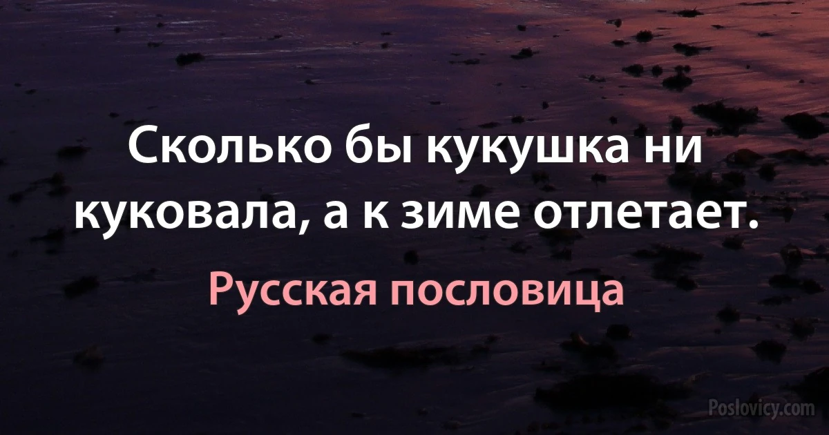 Сколько бы кукушка ни куковала, а к зиме отлетает. (Русская пословица)