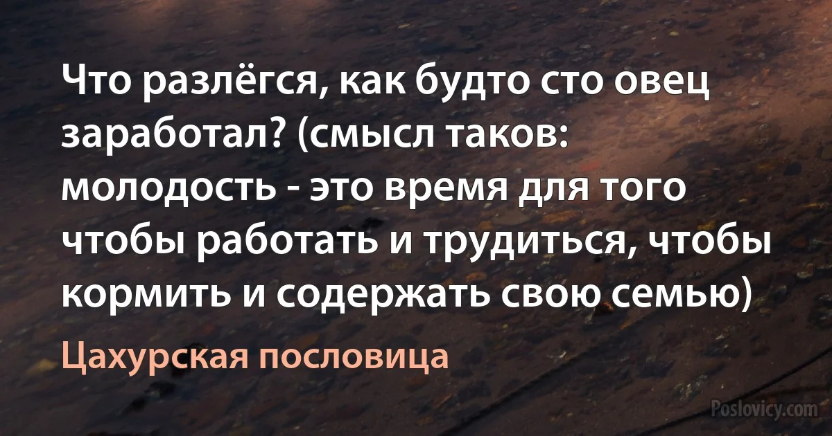 Что разлёгся, как будто сто овец заработал? (смысл таков: молодость - это время для того чтобы работать и трудиться, чтобы кормить и содержать свою семью) (Цахурская пословица)