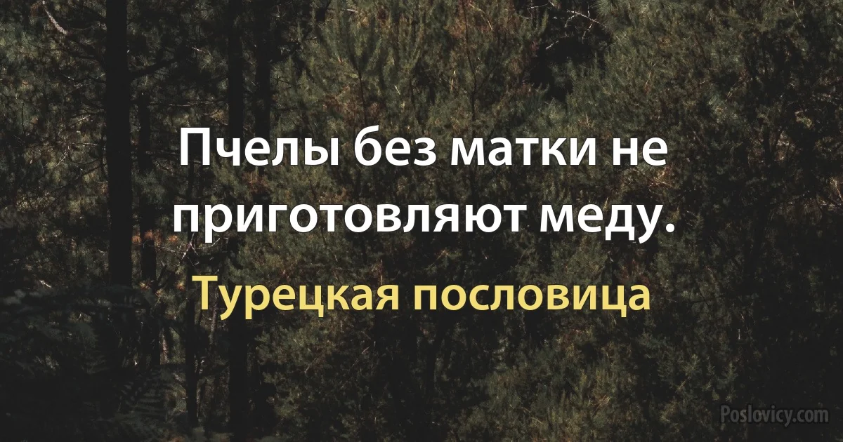 Пчелы без матки не приготовляют меду. (Турецкая пословица)