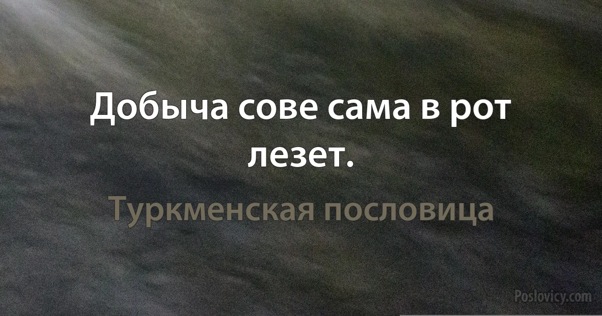 Добыча сове сама в рот лезет. (Туркменская пословица)