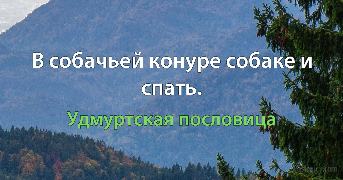 В собачьей конуре собаке и спать. (Удмуртская пословица)