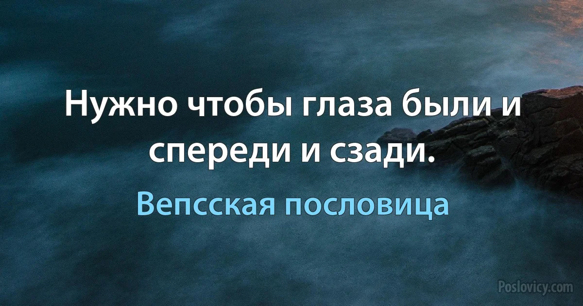 Нужно чтобы глаза были и спереди и сзади. (Вепсская пословица)