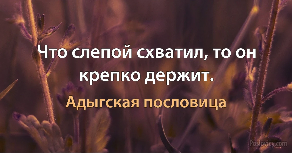 Что слепой схватил, то он крепко держит. (Адыгская пословица)