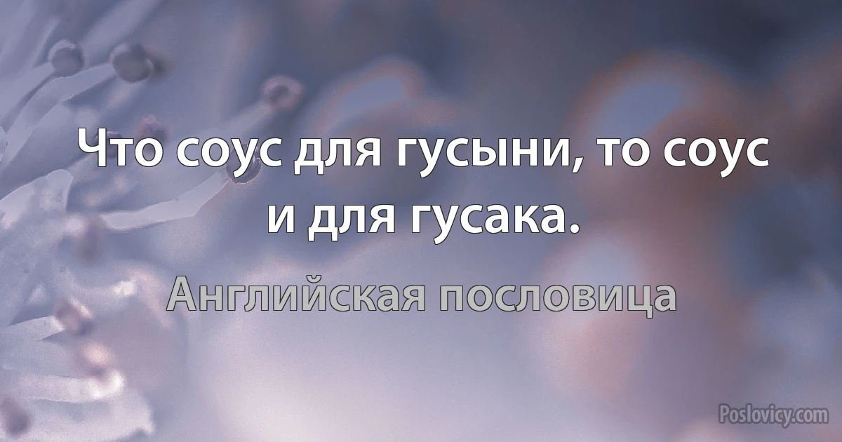 Что соус для гусыни, то соус и для гусака. (Английская пословица)