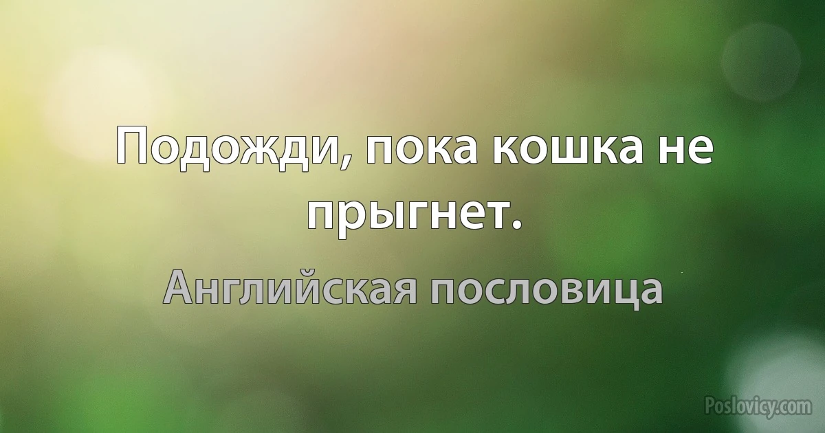 Подожди, пока кошка не прыгнет. (Английская пословица)