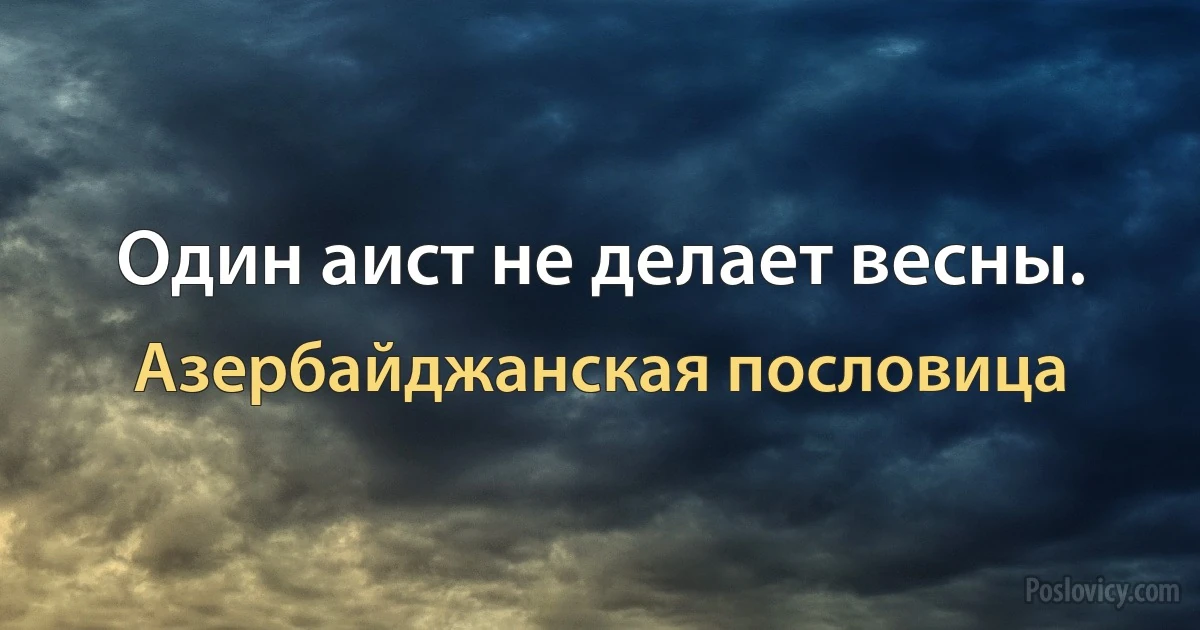 Один аист не делает весны. (Азербайджанская пословица)