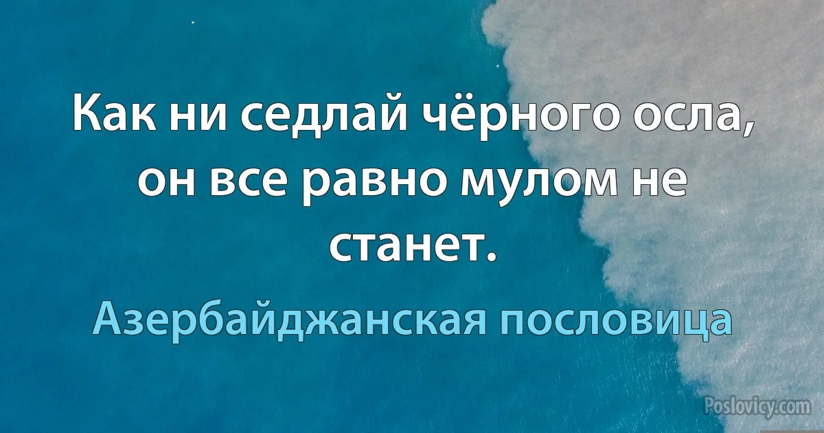 Как ни седлай чёрного осла, он все равно мулом не станет. (Азербайджанская пословица)