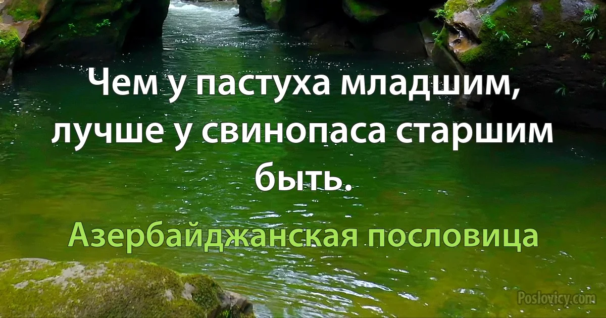 Чем у пастуха младшим, лучше у свинопаса старшим быть. (Азербайджанская пословица)