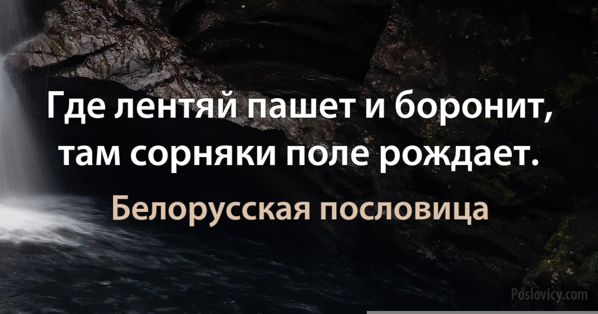 Где лентяй пашет и боронит, там сорняки поле рождает. (Белорусская пословица)