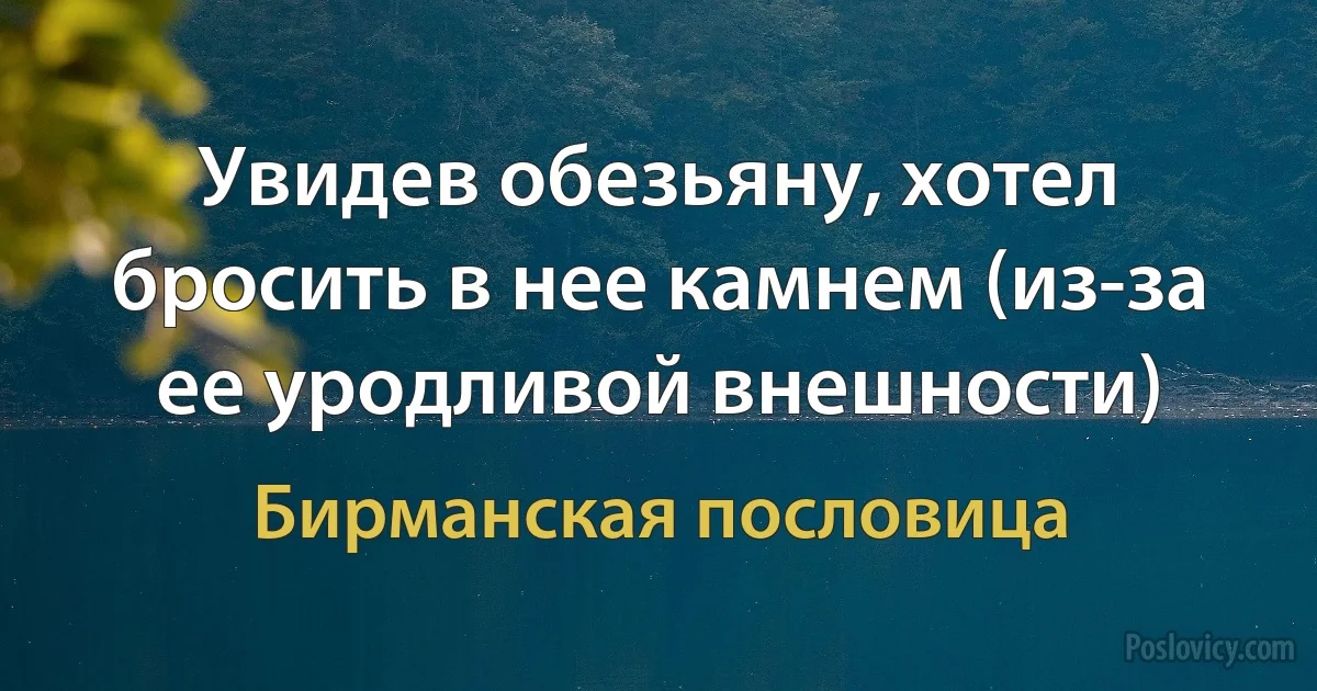 Увидев обезьяну, хотел бросить в нее камнем (из-за ее уродливой внешности) (Бирманская пословица)