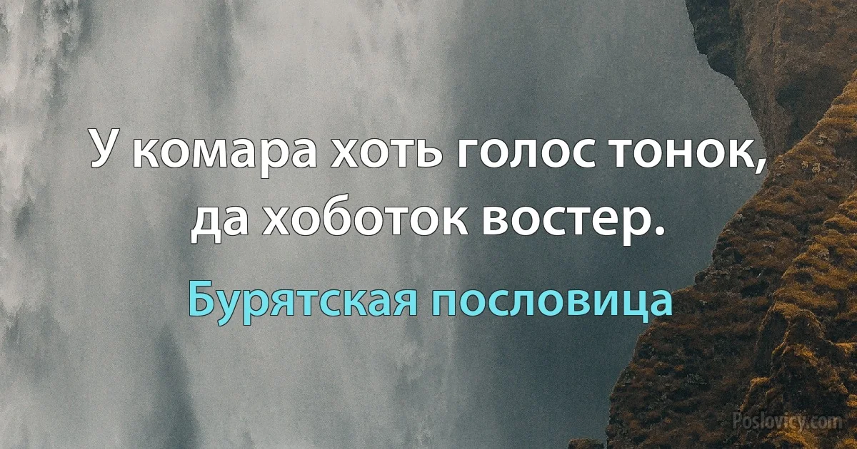 У комара хоть голос тонок, да хоботок востер. (Бурятская пословица)