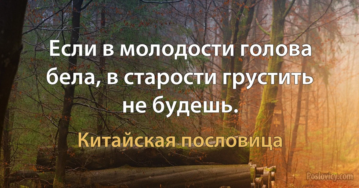 Если в молодости голова бела, в старости грустить не будешь. (Китайская пословица)