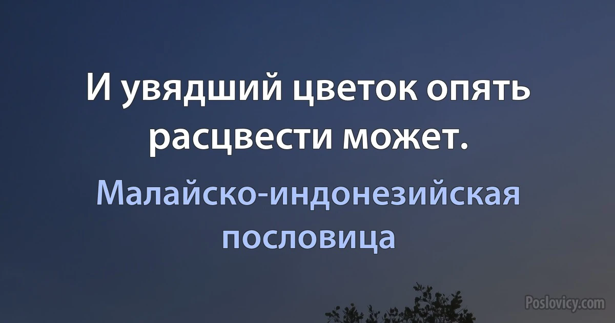 И увядший цветок опять расцвести может. (Малайско-индонезийская пословица)