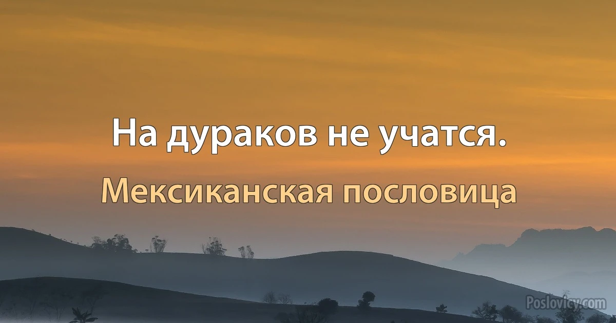 На дураков не учатся. (Мексиканская пословица)