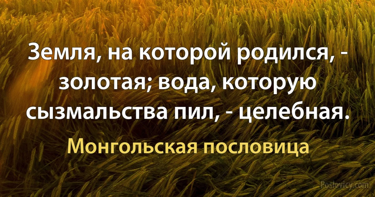 Земля, на которой родился, - золотая; вода, которую сызмальства пил, - целебная. (Монгольская пословица)