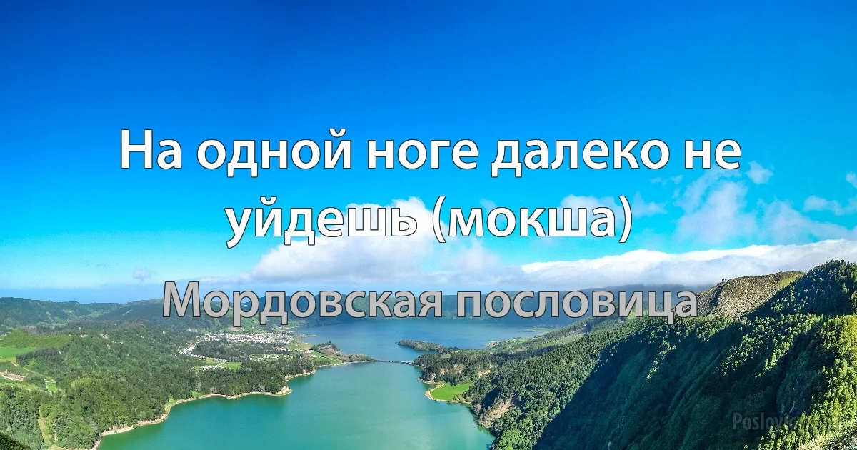 На одной ноге далеко не уйдешь (мокша) (Мордовская пословица)