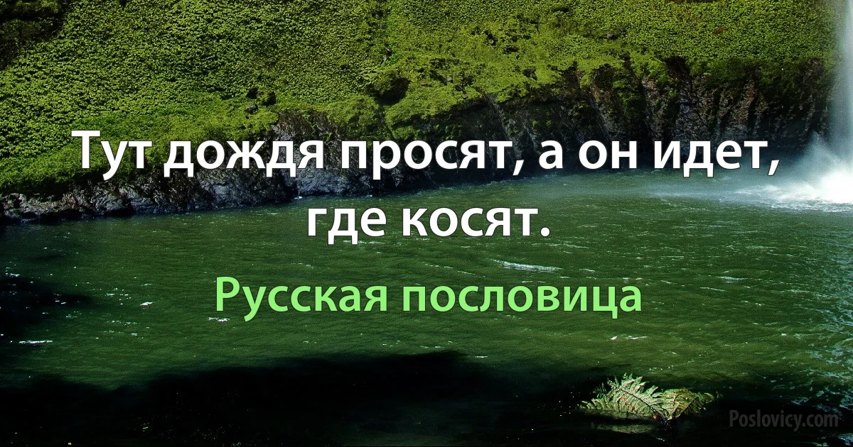 Тут дождя просят, а он идет, где косят. (Русская пословица)