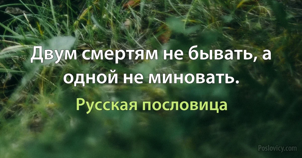 Двум смертям не бывать, а одной не миновать. (Русская пословица)