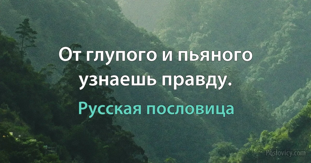 От глупого и пьяного узнаешь правду. (Русская пословица)