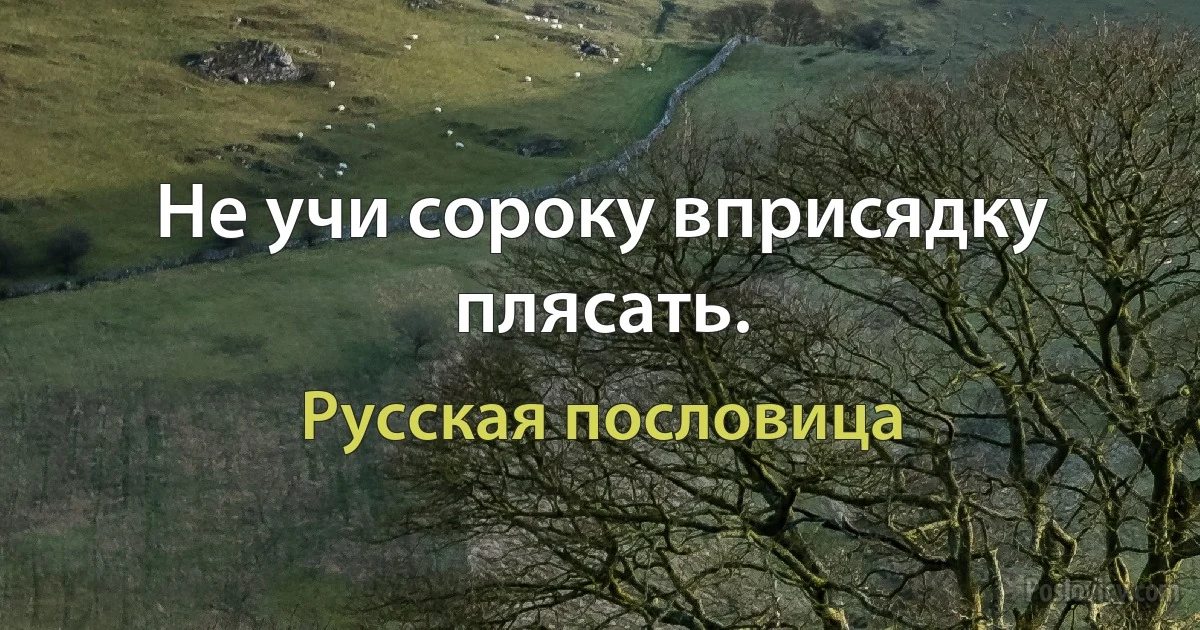 Не учи сороку вприсядку плясать. (Русская пословица)