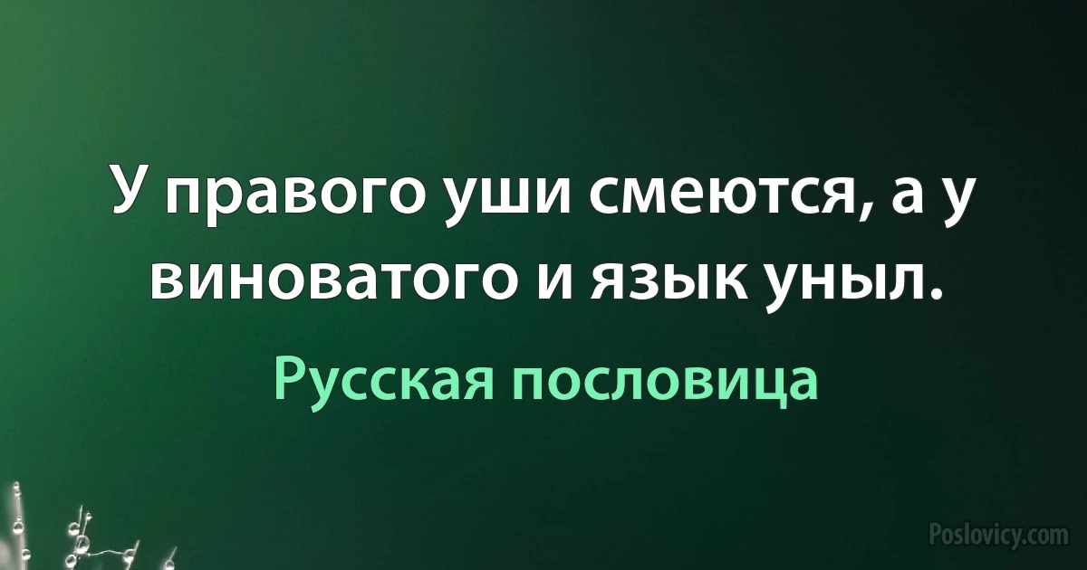 У правого уши смеются, а у виноватого и язык уныл. (Русская пословица)