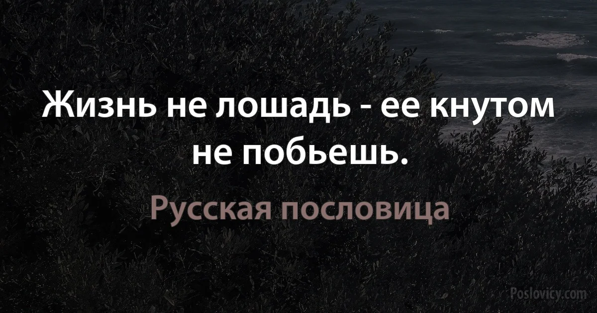 Жизнь не лошадь - ее кнутом не побьешь. (Русская пословица)