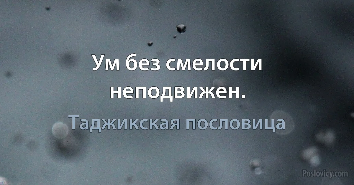 Ум без смелости неподвижен. (Таджикская пословица)