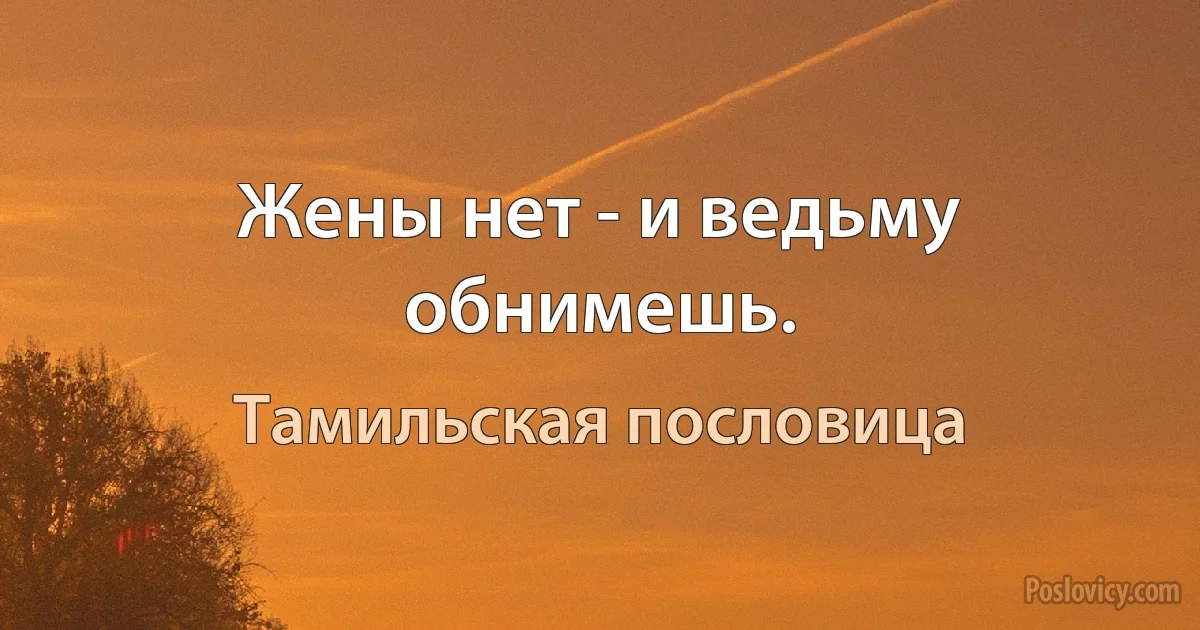 Жены нет - и ведьму обнимешь. (Тамильская пословица)