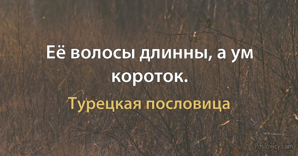 Её волосы длинны, а ум короток. (Турецкая пословица)