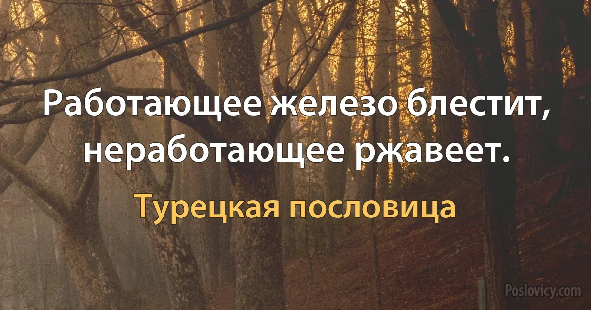 Работающее железо блестит, неработающее ржавеет. (Турецкая пословица)