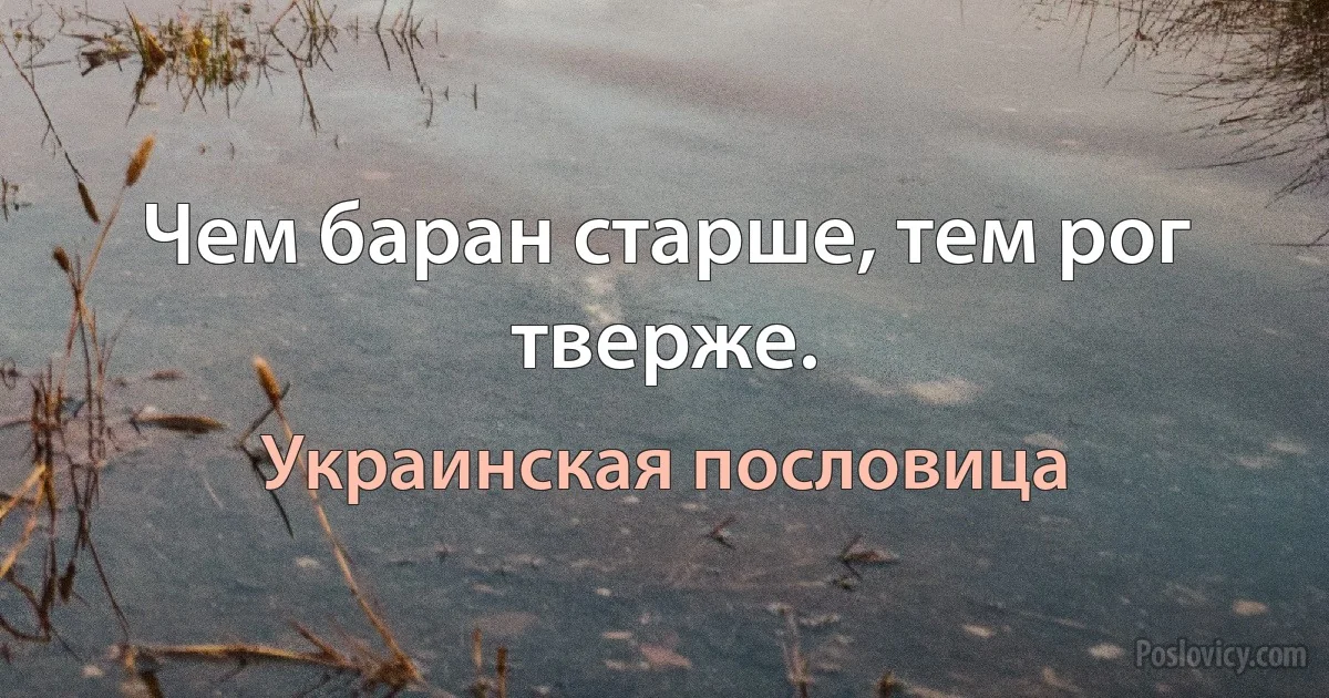 Чем баран старше, тем рог тверже. (Украинская пословица)