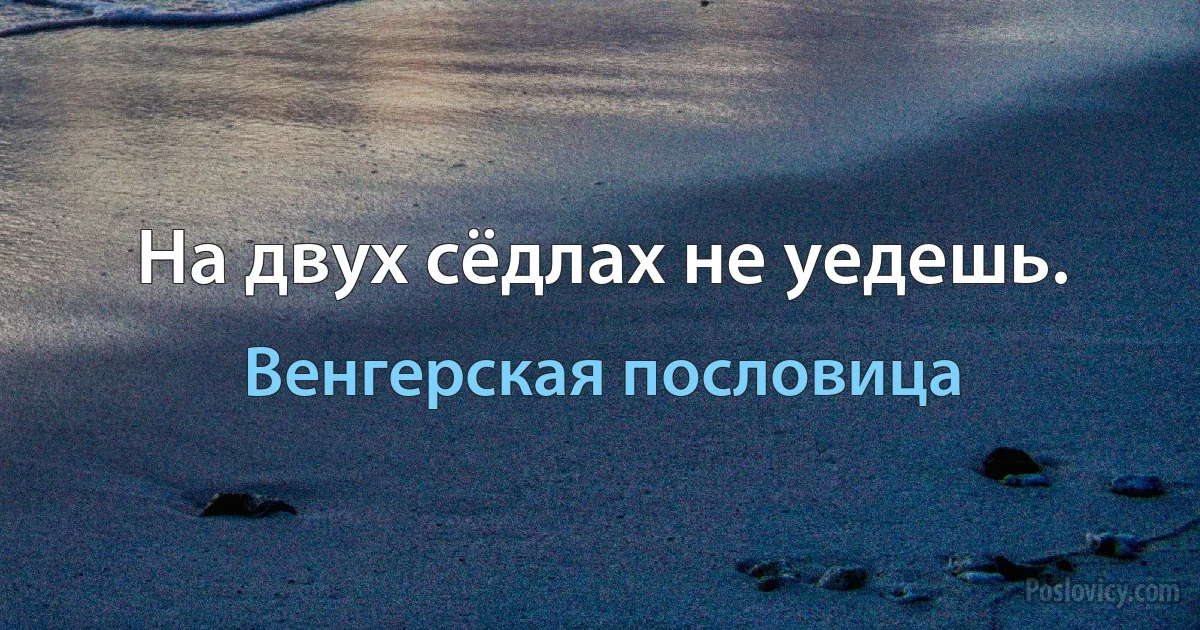 На двух сёдлах не уедешь. (Венгерская пословица)