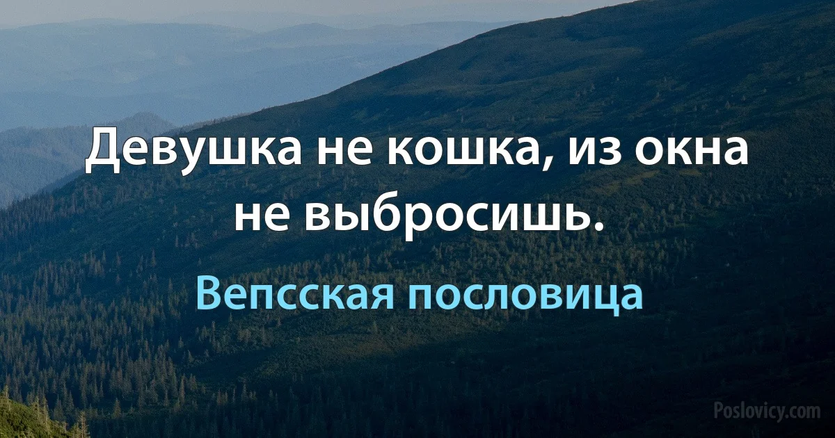 Девушка не кошка, из окна не выбросишь. (Вепсская пословица)