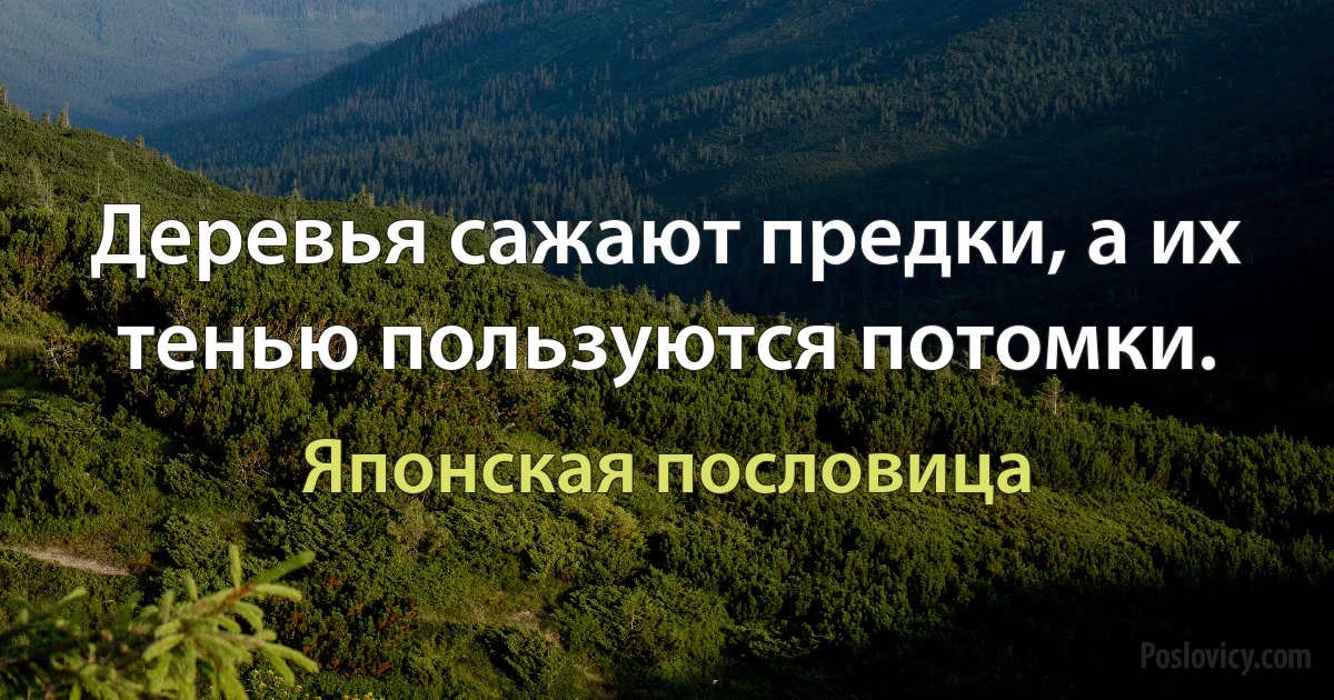 Деревья сажают предки, а их тенью пользуются потомки. (Японская пословица)