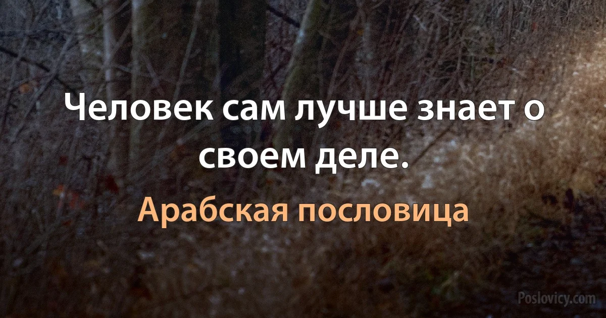 Человек сам лучше знает о своем деле. (Арабская пословица)