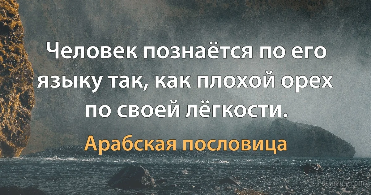 Человек познаётся по его языку так, как плохой орех по своей лёгкости. (Арабская пословица)