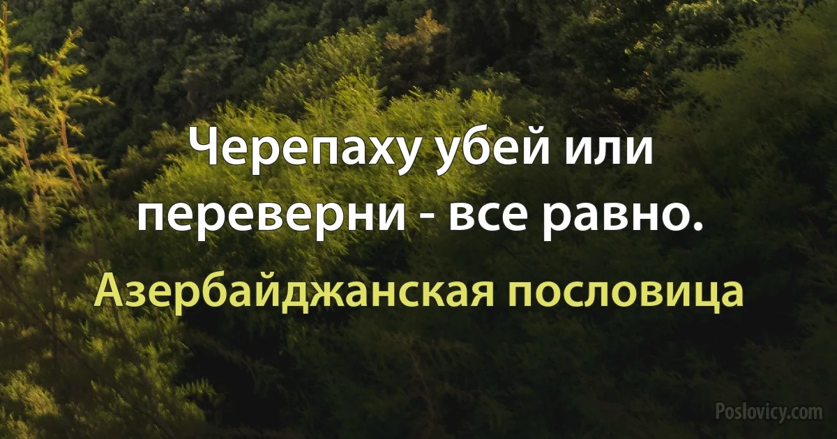 Черепаху убей или переверни - все равно. (Азербайджанская пословица)