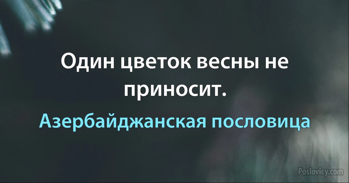 Один цветок весны не приносит. (Азербайджанская пословица)