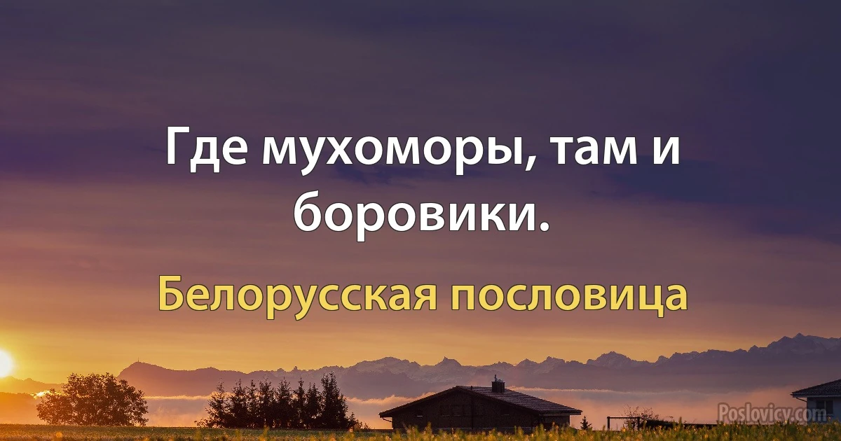 Где мухоморы, там и боровики. (Белорусская пословица)