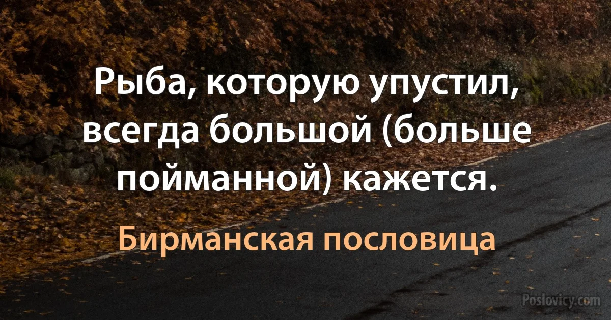 Рыба, которую упустил, всегда большой (больше пойманной) кажется. (Бирманская пословица)