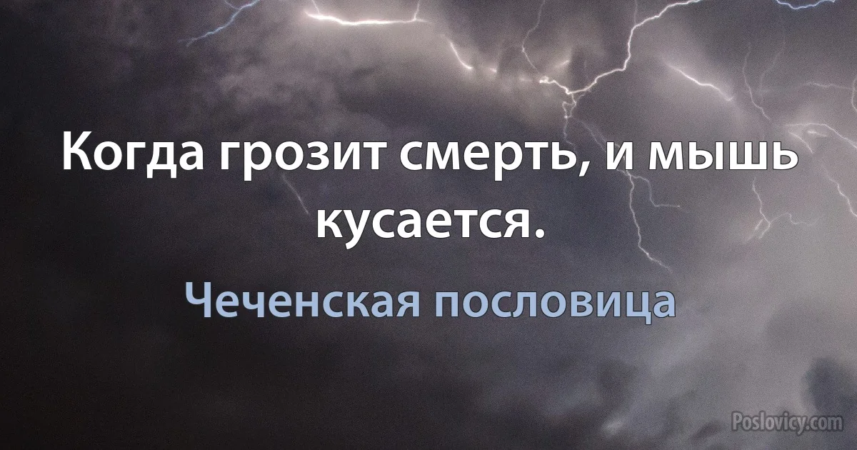 Когда грозит смерть, и мышь кусается. (Чеченская пословица)