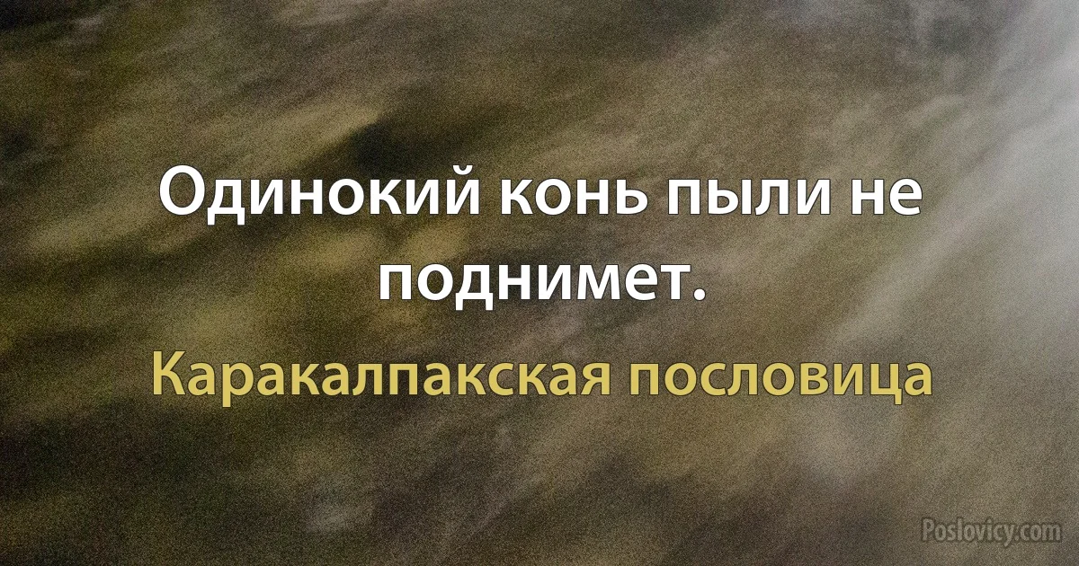 Одинокий конь пыли не поднимет. (Каракалпакская пословица)