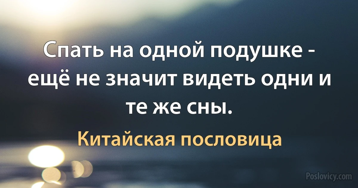 Спать на одной подушке - ещё не значит видеть одни и те же сны. (Китайская пословица)