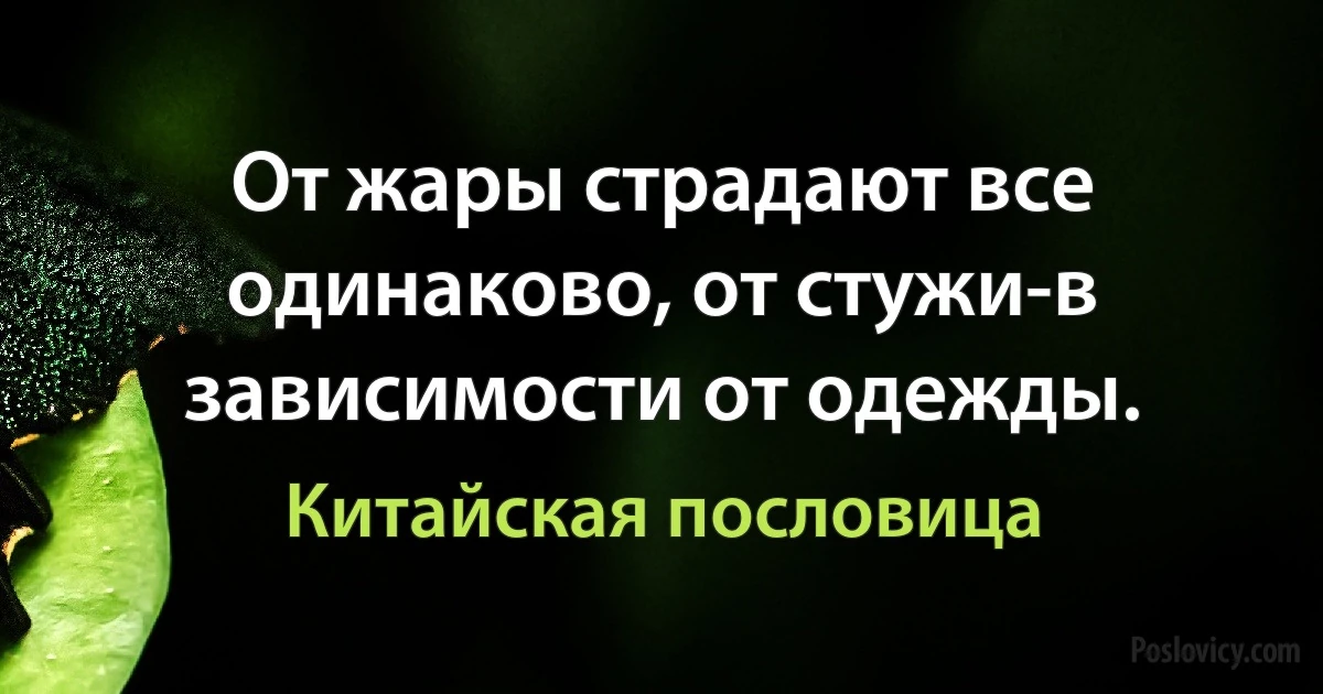 От жары страдают все одинаково, от стужи-в зависимости от одежды. (Китайская пословица)