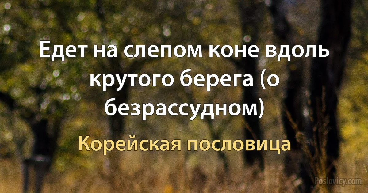 Едет на слепом коне вдоль крутого берега (о безрассудном) (Корейская пословица)